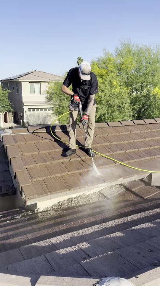 Sage Solutions Pest Control project